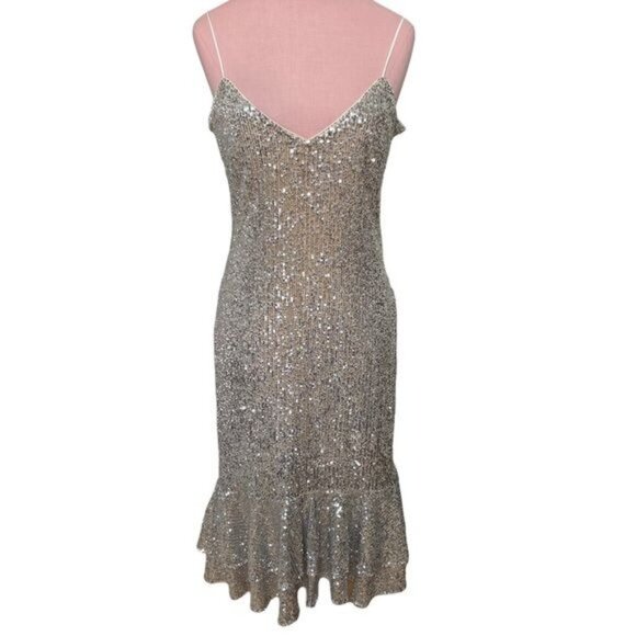 BHLDN Sachin & Babi Sequin Odelle Midi Dress in Silver & Gold Size 4 NWT - Picture 5 of 12